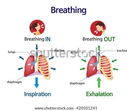 to inhale and exhale figgerits|To inhale and exhale Figgerits Answer .